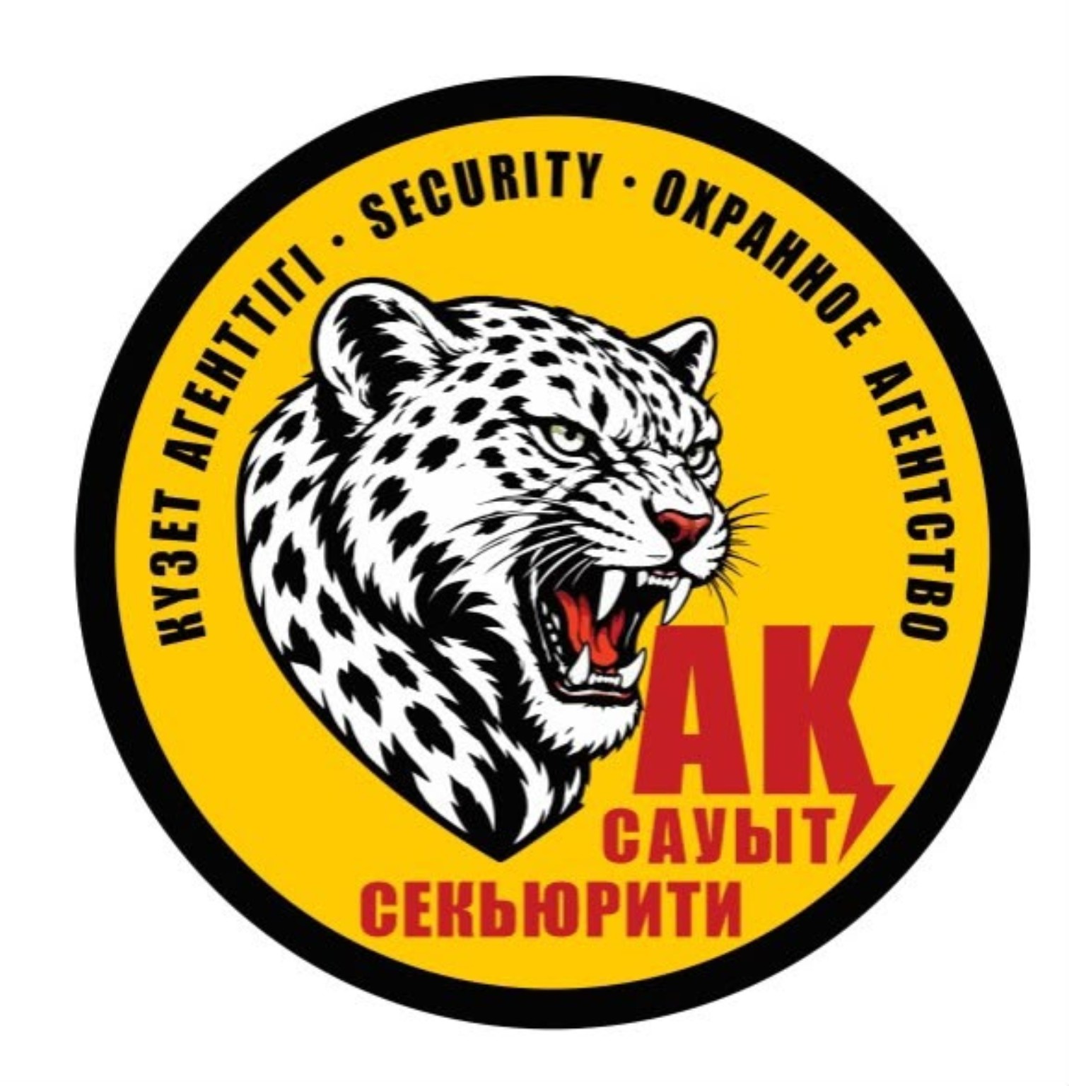 Логотип Аксауыт Security